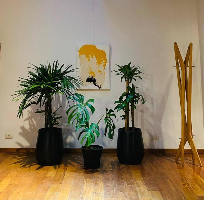 Arts Loft, A Estrenar! Buenos Aires Apartman Kültér fotó